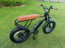 Mini Swell Electric Bike